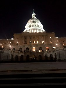 IMG 9294