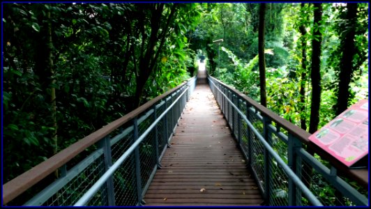 01 long bridge @ Sentosa Nature Discovery photo