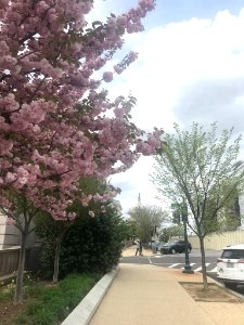 IMG 0458