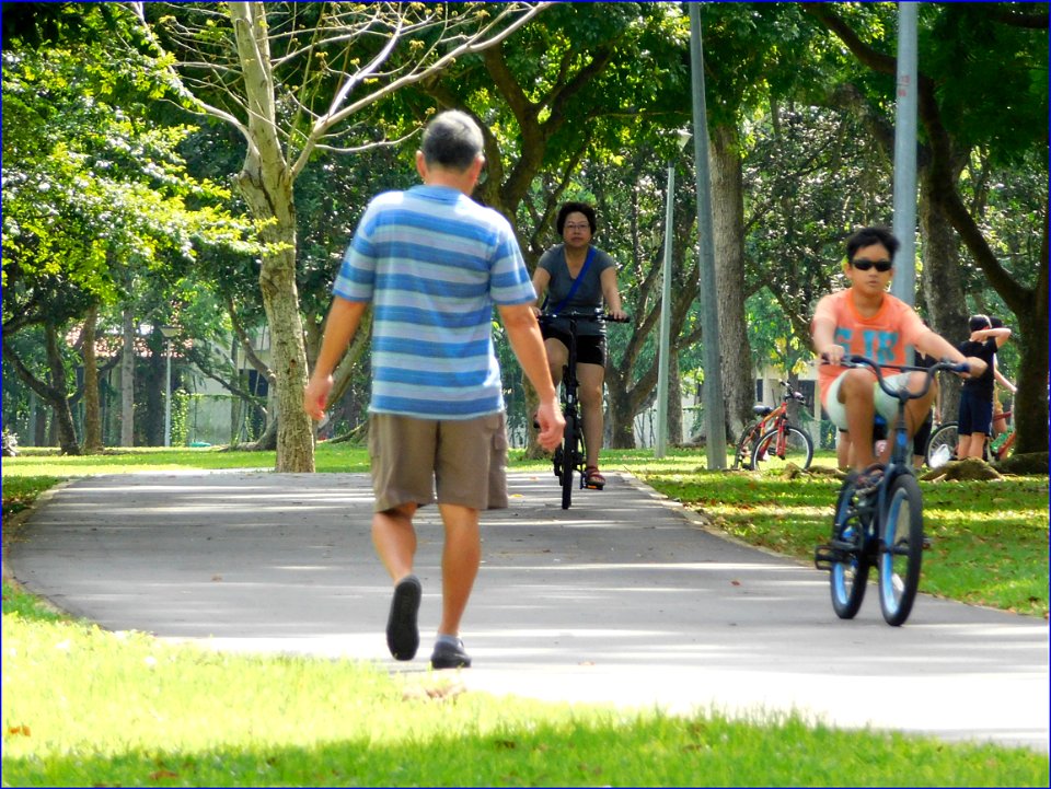 exercising in the park