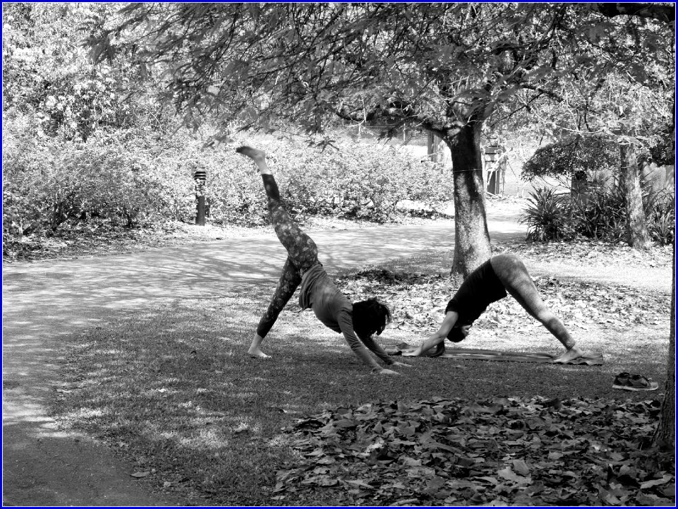 botanic gardens - a popular place for exercising