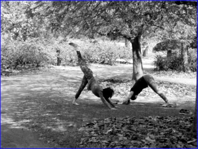 botanic gardens - a popular place for exercising photo