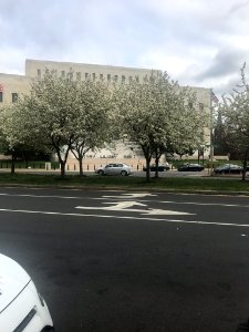 IMG 0314