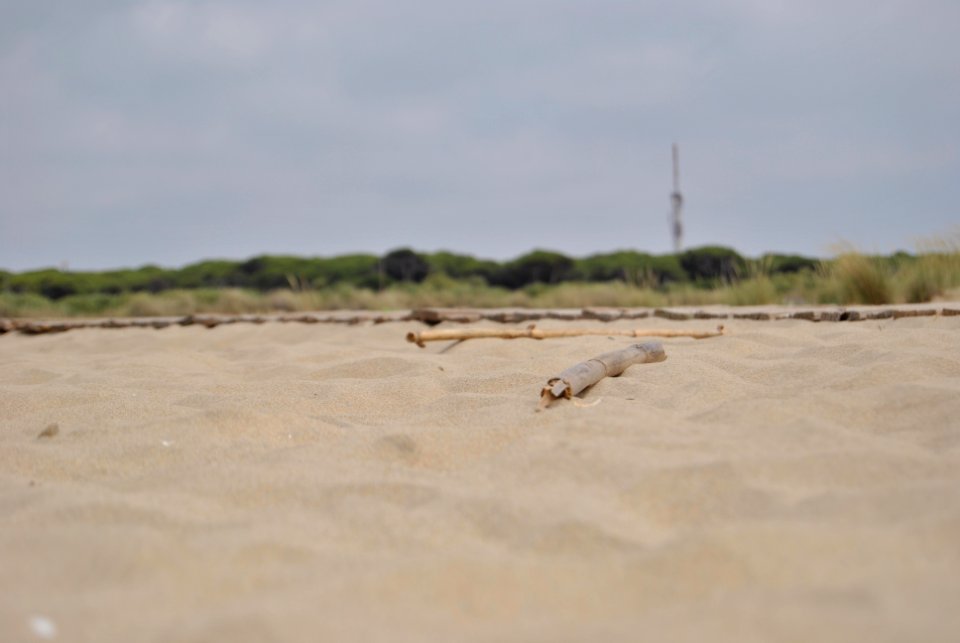 Playa La Bota. Punta Umbría (Huelva).