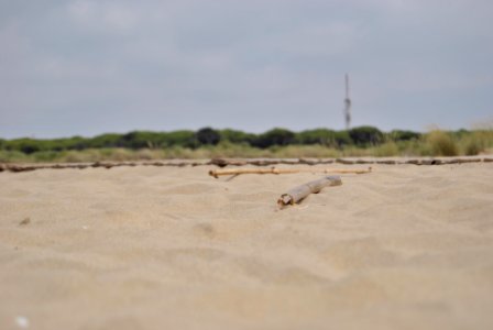 Playa La Bota. Punta Umbría (Huelva). photo