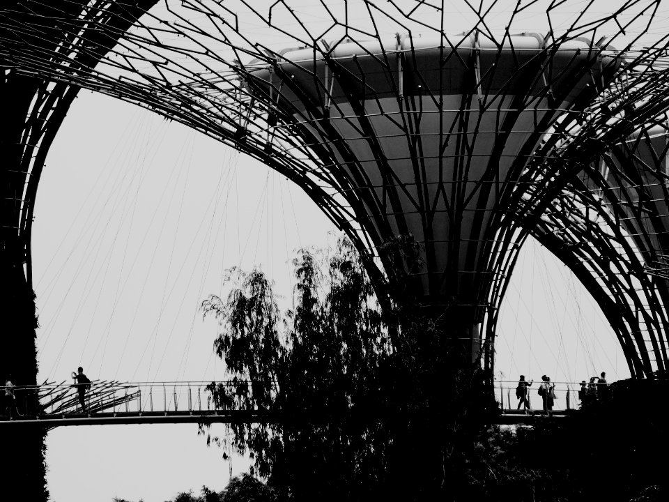 Skyway - 22m above ground, aerial walkway around Supertrees
