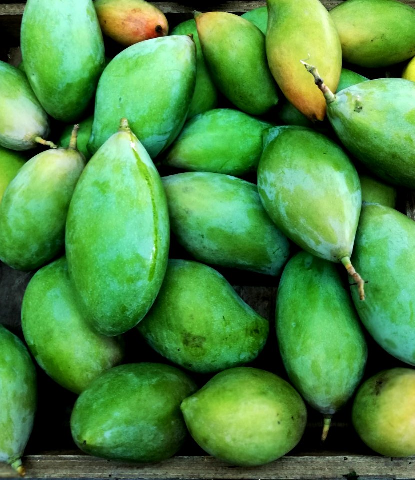 mango - soft, slippery meat when ripe