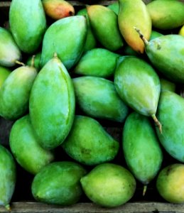 mango - soft, slippery meat when ripe