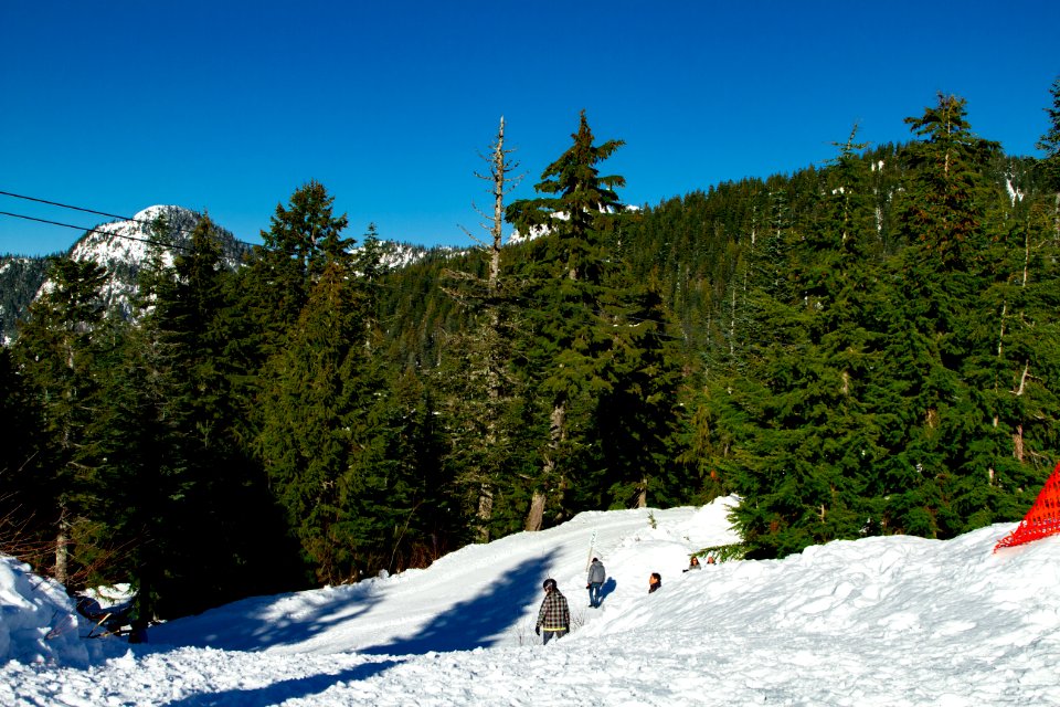 Grouse Mountain Ski Area