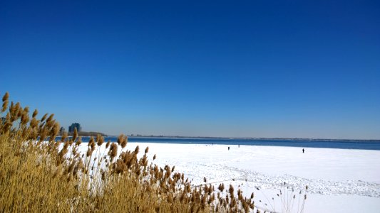 WP 20180320 13 41 56 Pro