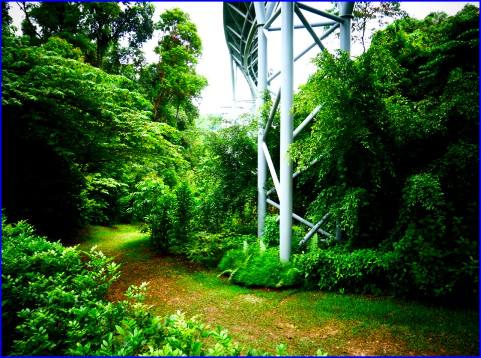fort siloso trail along the supports of skywalk
