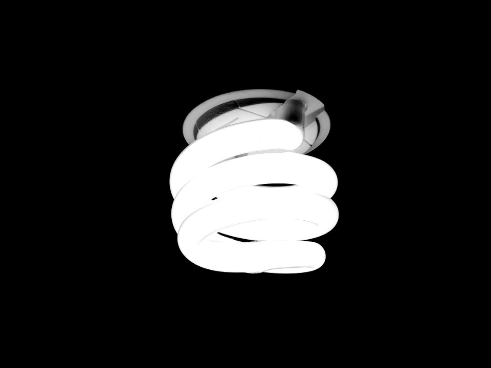 lighted bulb