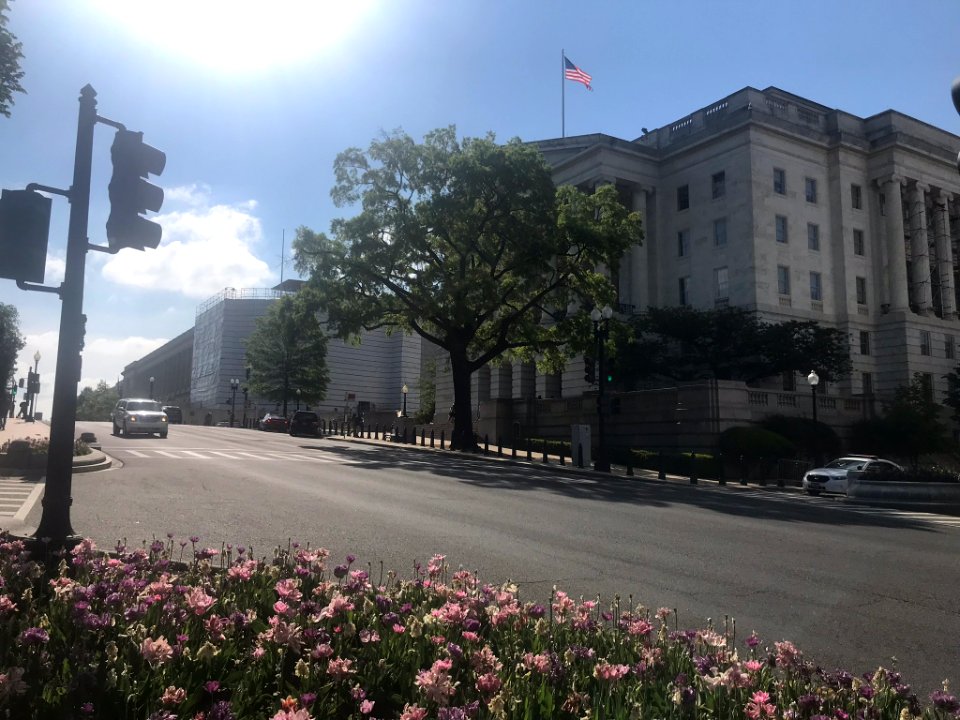IMG 0794