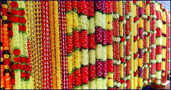deepavali - colorful garlands photo