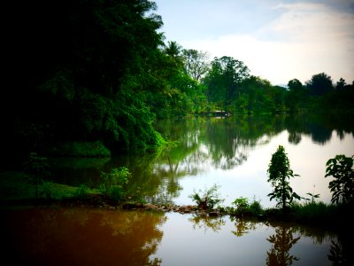 appreciating nature