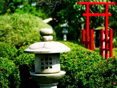 japanese garden - stone lantern