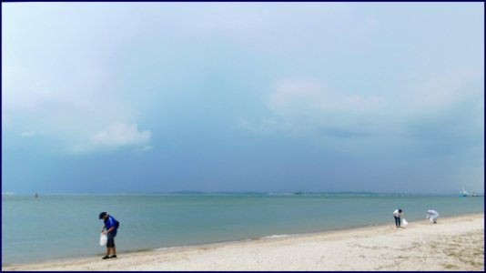 volunteers cleaning Changi Point beach
