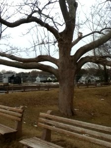 Rest Spot