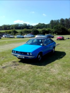 Leyland princess
