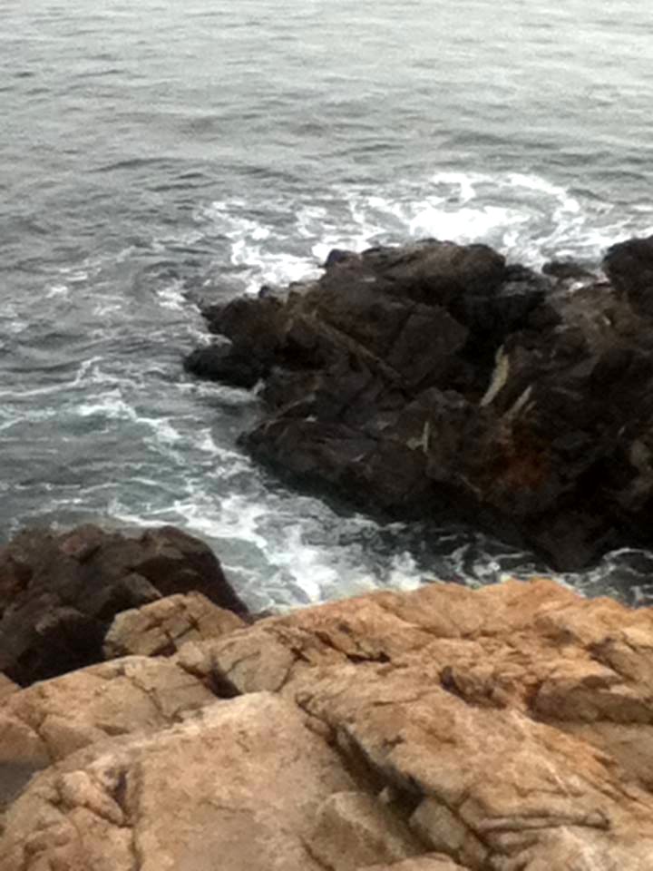 Natural Barrier
