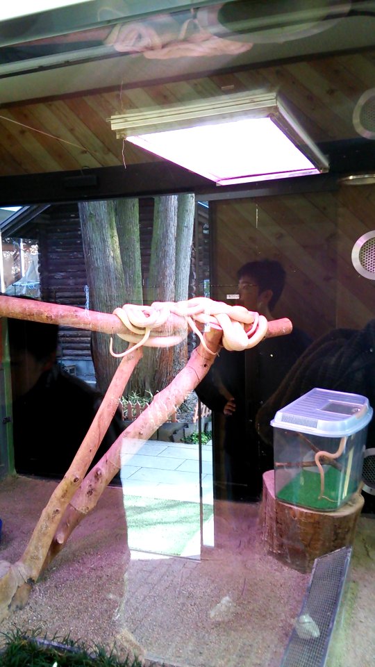 Kikko Park; White Snake Museum