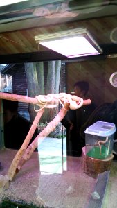 Kikko Park; White Snake Museum