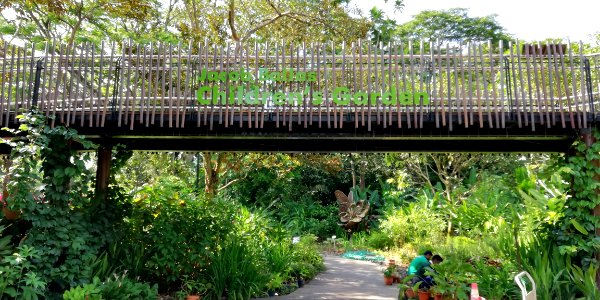 bridge running along the perimeter of children's garden