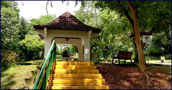 telok blangah hill park - shelter for some quietness and shade photo