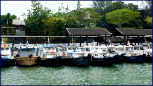 boats neatly secured