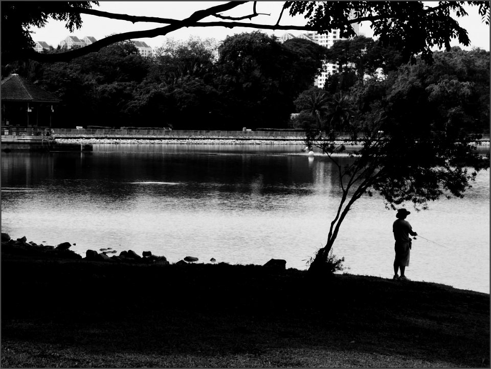 fishing