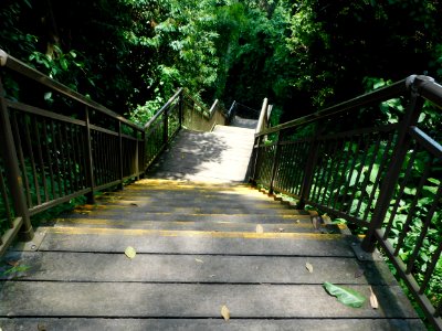 05 steep steps