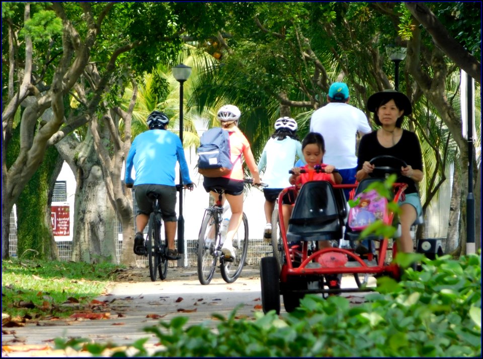 cycling in the park