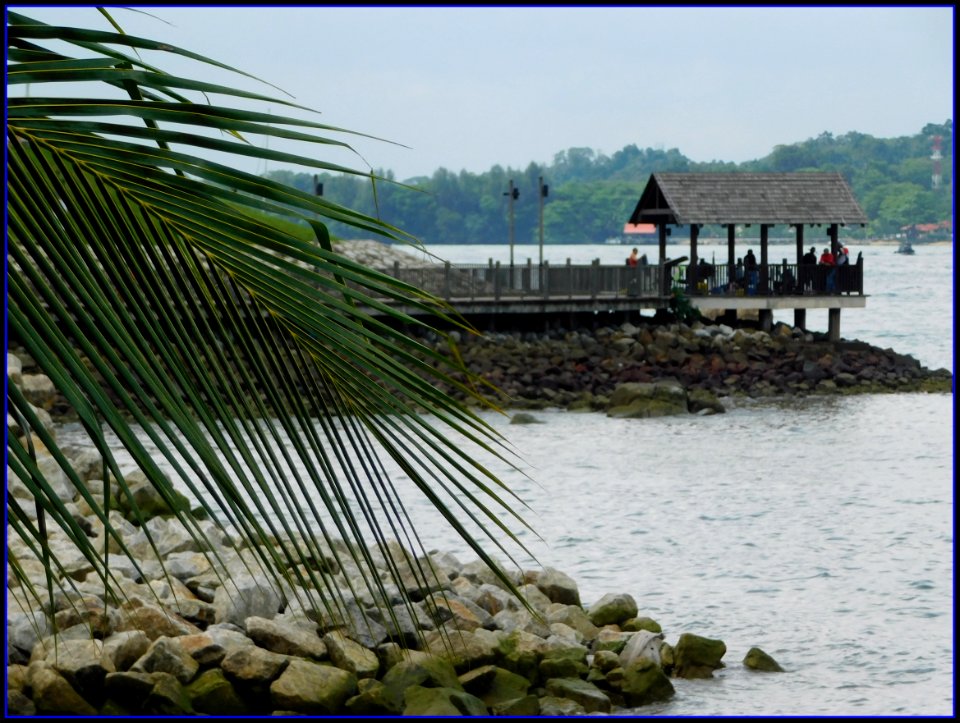 changi coastal walk
