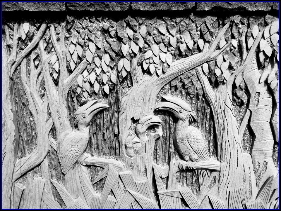 botanic gardens learning forest - wall carving
