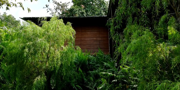 house with wooden blinds