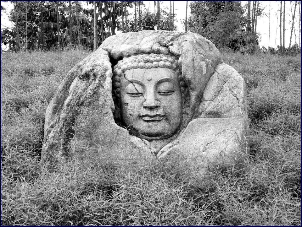 serene garden - stone carving
