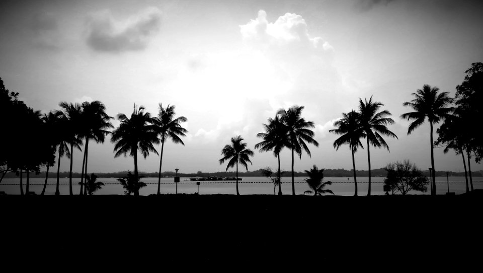 sea @ pasir ris park photo