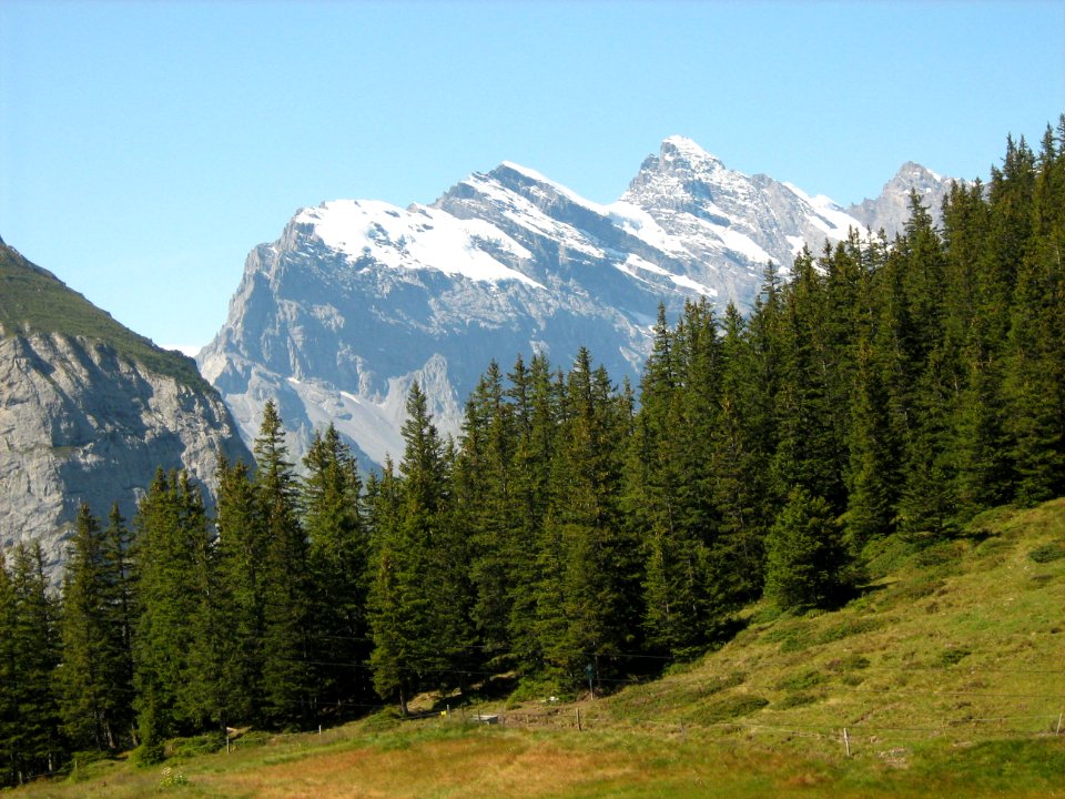 Alpes. La Punt-chamues-ch (Suiza)