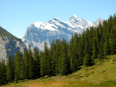 Alpes. La Punt-chamues-ch (Suiza) photo