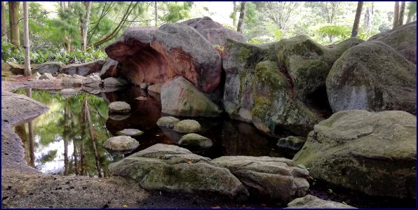 Botanic Gardens: Evolution garden