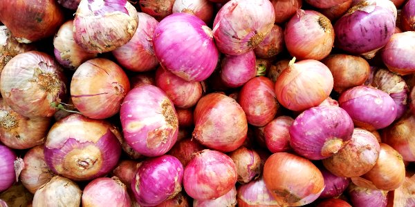 locally available onions