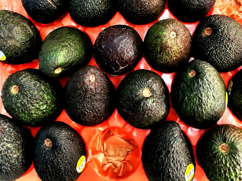 avocado - full of good oil
