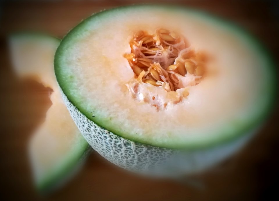 rock melon