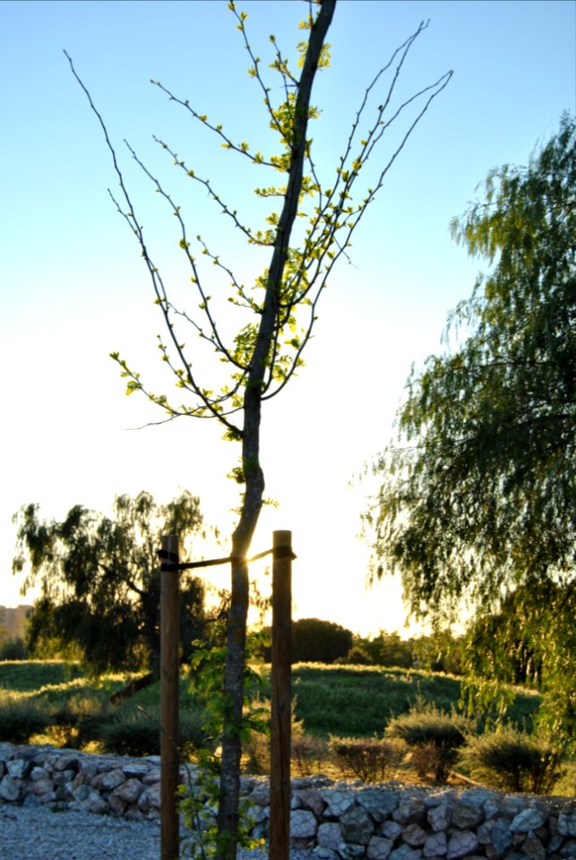 Parque Miraflores (Sevilla)