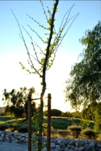 Parque Miraflores (Sevilla)