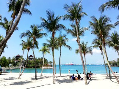 Palawan beach @ Sentosa photo