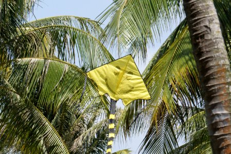 pasir ris park - smiling kite