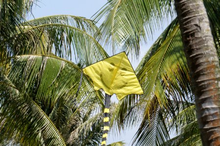 pasir ris park - smiling kite photo