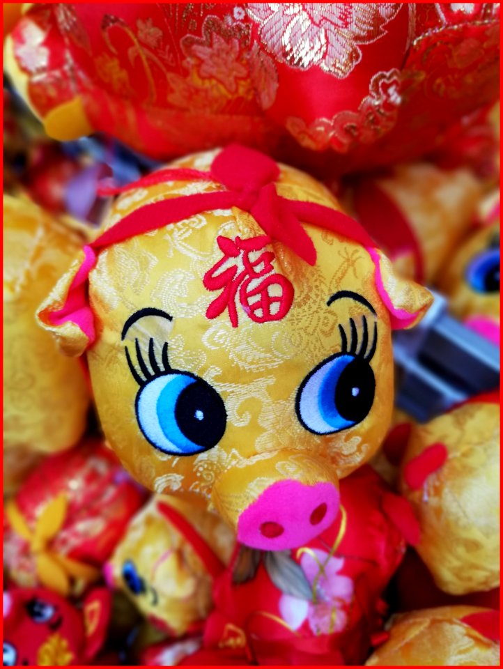 04Feb2019 - Year of the Pig