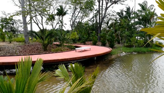 jurong lake gardens - boardwalk photo